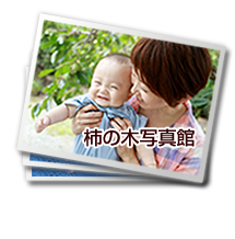 柿の木写真館-フォト-